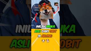 Download lagu THIS IS THE ORIGINAL FACE FROM THE DOG'S OBIT ‼️ - #unik #facts #fakta #kepalasteve mp3 Download lagu THIS IS THE ORIGINAL FACE FROM THE DOG'S OBIT ‼️ - #unik #facts #fakta #kepalasteve mp3