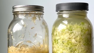 PRESERVING a year’s worth of SAUERKRAUT (Don’t can it!)