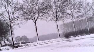 preview picture of video 'p.4 our jack russel dog petcam december 27th 2014 snow Heeswijk - Dinther Netherlands Europe Holland'