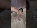 Nanga Ladka