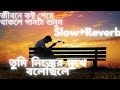 তুমি নিজের মুখে বলেছিলে /Tumi nijer mukhe bolechile (Slow +Reverb)/Bangla sad so