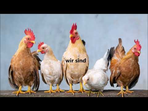 ICH BIN, DU BIST ein Lied, um das Verb "sein" konjugieren zu lernen