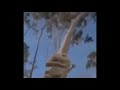 Jurassic Park Welcome To Jurassic Park Meme