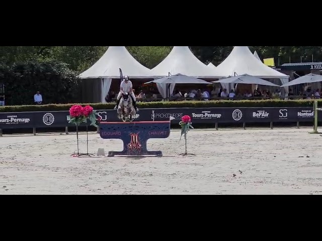 Hongre de 7ans performer Gp 1m40