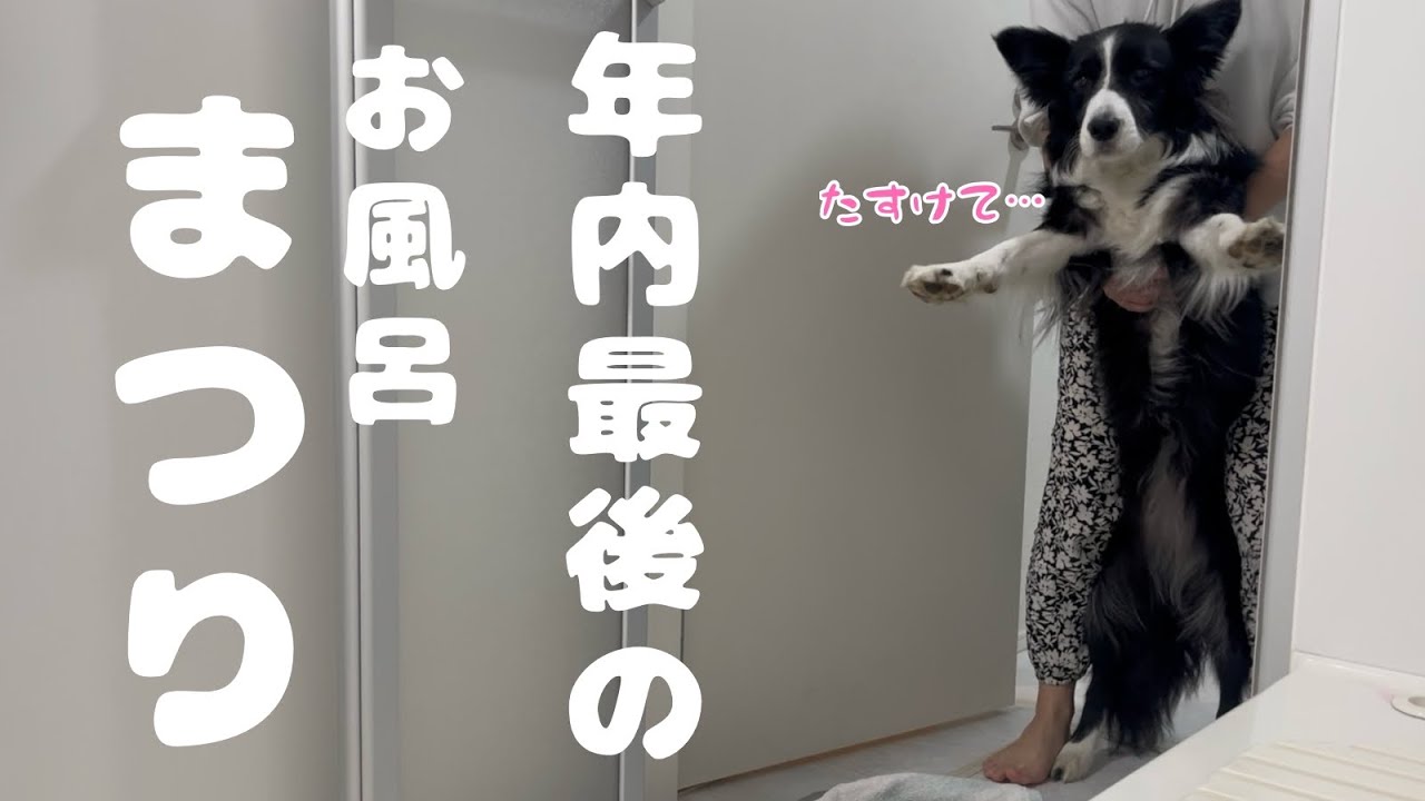 お風呂祭り2025!!今年もありがとうございました