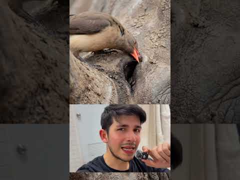 มันคือความสัมพันธ์ระหว่าง “ผู้ช่วย” และ “ผู้หาประโยชน์” ในเวลาเดียวกัน #youtubeshorts #เรื่องสั้น