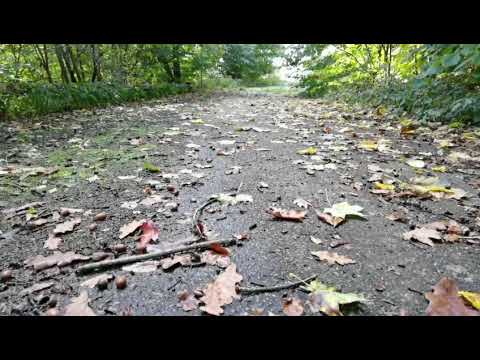 DEN BORTGLÖMDA INFARTSVÄGEN till den STORA FABRIKEN som revs - 211007 - Kallinge (Huawei P40 Pro)