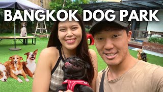 You Must Visit This in Bangkok! A Day at #1 Dog Park