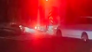 【夜貓搶先】【車禍影片】這... 這台wish肯定受過什麼專業訓練（2025.12.07 臺南市永康區自強路