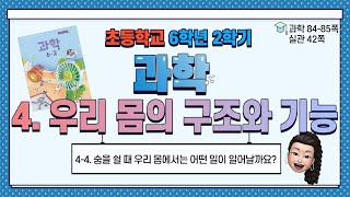 6학년 2학기 과학 4단원 우리 몸의 구조와 기능 (4) 숨을 쉴 때 우리 몸에서는 어떤 일이 일어날까요?