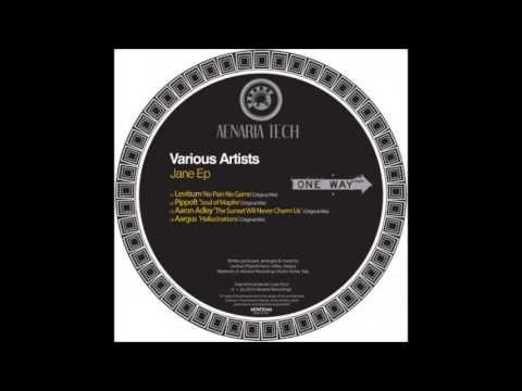 Aaron Adley - The Sunset Will Never Charm Us (Original Mix) [Aenaria Tribal]