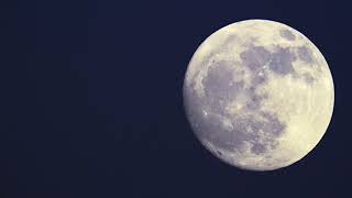 Download lagu Bimbo - Melati dari Jayagiri (Cover) mp3 Download lagu Bimbo - Melati dari Jayagiri (Cover) mp3