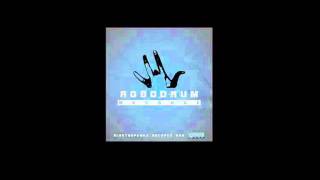 Robodrum - Machine Boogie [Clip]