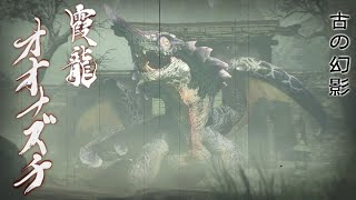 【モンハンライズ】ついに古龍オオナズチ狩猟へ！あとお金稼ぎたいです【MHRise】