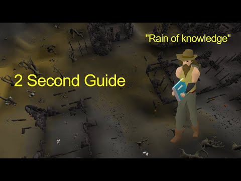 Practically Guaranteed - Crazy Archaeologist