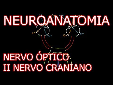 Aula: Neuroanatomia - Nervo Óptico (II Nervo Craniano) e o Sistema Visual | Neuroanatomia #6.2