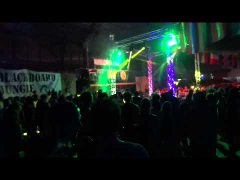 Mungo's Hifi ft. Charlie P @ Reggaebus Festival 2015