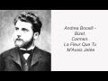Andrea Bocelli - Bizet. Carmen. La Fleur Que Tu M ...