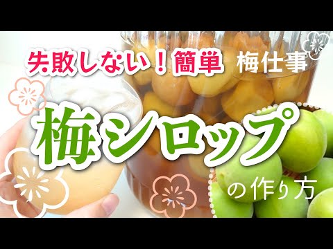 【簡単失敗しない】梅シロップの作り方| 青梅・完熟梅で梅仕事 | 美味しい健康ドリンク　How to make plum syrup