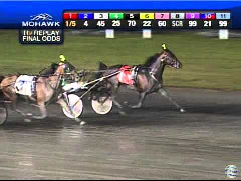 2014 Maple Leaf Trot - theharnessedge.com
