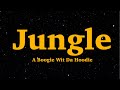 A Boogie Wit Da Hoodie Jungle  Lyric We Are Lyrics