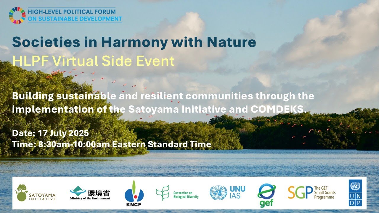 High Level Political Forum 2025- COMDEKS Phase 4 virtual side event