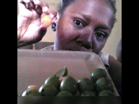 ACKEE *Exotic Fruits*|Mukbang