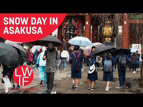 浅草の雪の日（浅草寺 (Snow Day in Asakusa (Senso-ji))