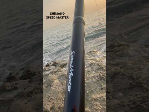SHIMANO Speed Master Surf rod…..#beach #fishing #youtubeshorts #rod #shorts