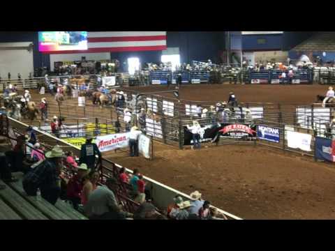 NLBRA Finals Short Go Pole Run 7-9-2017