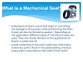 Mechanical Seals