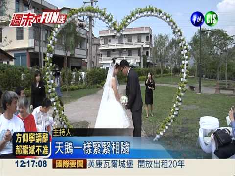 高雄旗山天鵝城堡 為喜憨兒圓夢