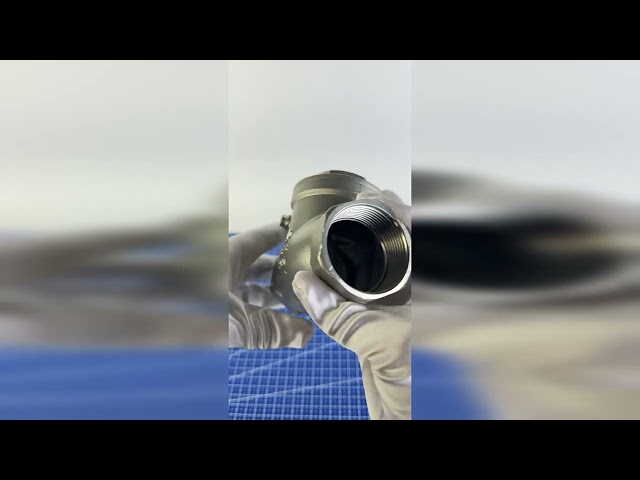 Клапан зворотний муфтовий поворотний нержавіючий Armaval DN 15 (1/2")