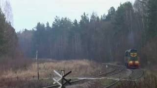 preview picture of video 'Тепловоз ЧМЭ3-1916, Prusie - Werchrata, Polska'