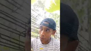 Download lagu bangunan latihan pertukangan 🤣 #shorts mp3