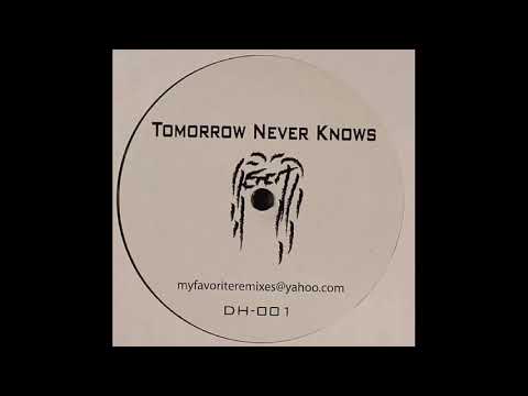 The Beatles – Tomorrow Never Knows (Dirtyhertz Remix), 2004