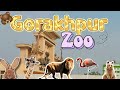 Gorakhpur Zoo Full Tour 🐯 || Gorakhpur chidiya ghar