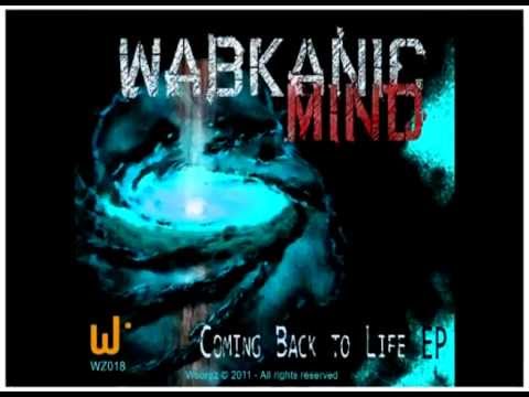 Wabkanic Mind - Low Passengers