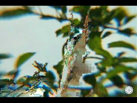 R.Hz - Warping (Echoshapes)