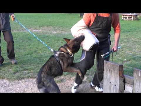 Chilli Drapa a Chawi z Jukasu