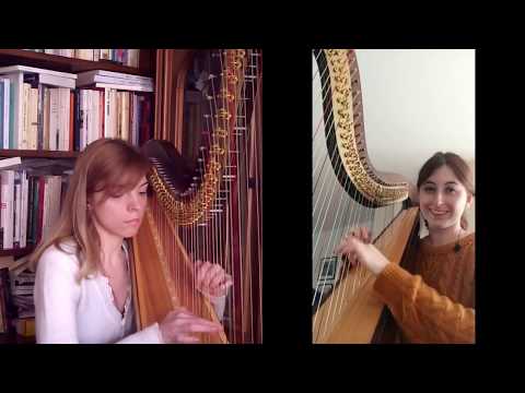 Titel: J S Bach Badinerie Bwv 1067 Suite For Two Harps