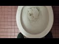 845 Rare Proflo Baby Toilet Vs A Diarrhea Wad