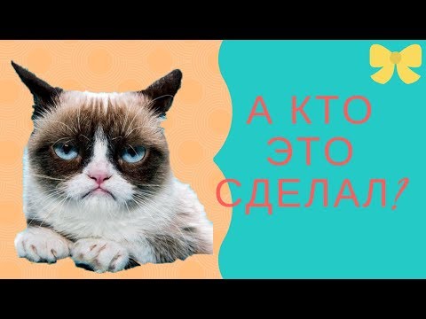 Кот сноу шу. Загадочные полосы на покрывале) кто автор?