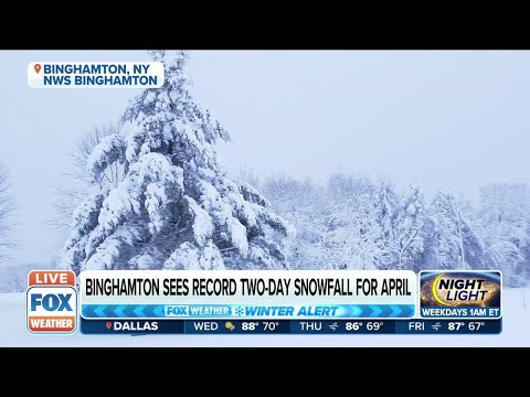 Weather Binghamton Ny