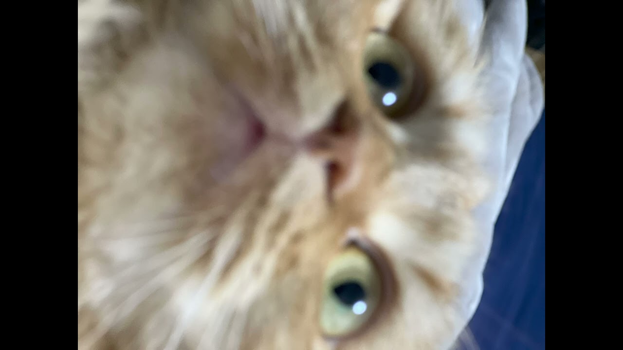 ［No.078］思いで