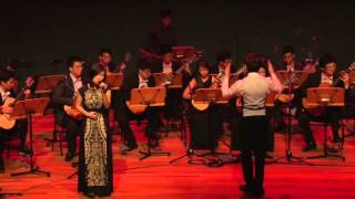 SMU Guitarissimo - Shou Zhang Xin (手掌心)