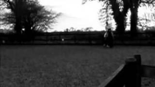 31  sonnet, end of an era x