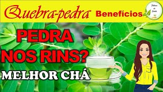 QUEBRA-PEDRA serve para qu? o melhor ch para seus rins | Benefcios do ch de Quebra pedra