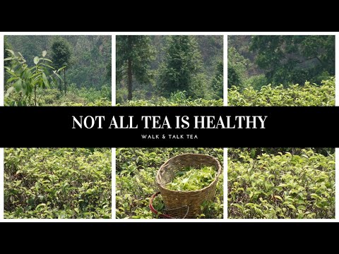 Not All Tea is Healthy - Walk & Talk Tea
