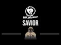 Rise Against • Savior (CC) (Upgraded Video) 🎤 [Karaoke] [Instrumental Lyrics]